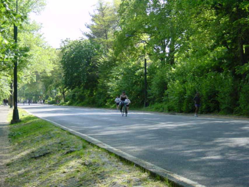 Central park les pistes cyclables