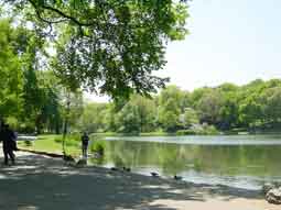 carnets de voyage new york - central park - harlem meer