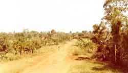 cameroun, la plaine de Mbo, en direction de Dschang