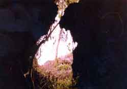 ascension du mont cameroun, un des tunnels de lave, vers 3000 m d'altitude