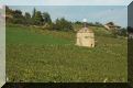 beaujolais -  Bagnols - pigeonnier du chteau