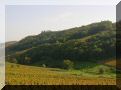 Paysages du Beaujolais