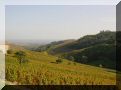 Paysages du Beaujolais