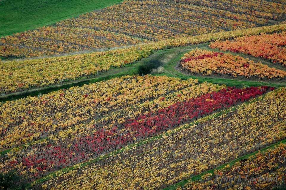 escapade beaujolais et pierres dores - paysages d'automne