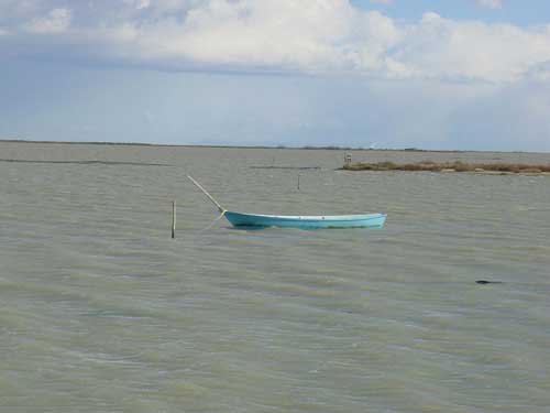 �tangs de camargue