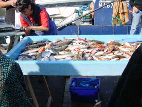 marchande de poissons sur le vieux-port