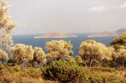 carnets de voyage grce - les sporades - alonissos