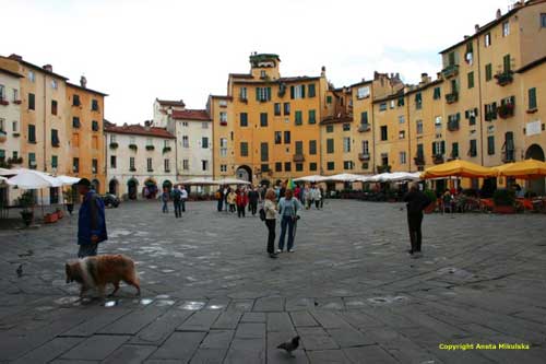 lucca - piazza mercato