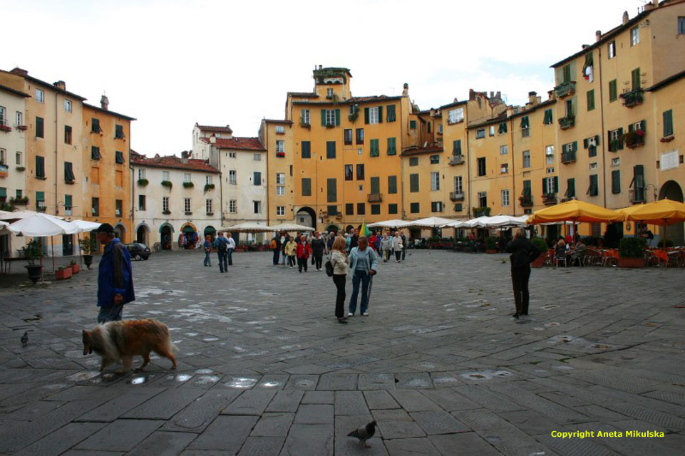 italie toscane lucca - piazza mercato