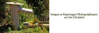 Images et reportages photographiques sur les C�vennes, Elisabeth Raboin vous invite � d�couvrir les paysages insolites du Mont Aigoual,  Mont Loz�re et des Causses