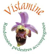 vistamine, randonnes pedestres accompagnes