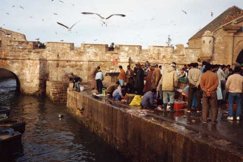 carnets de voyage maroc - le port de pche d' essaouira