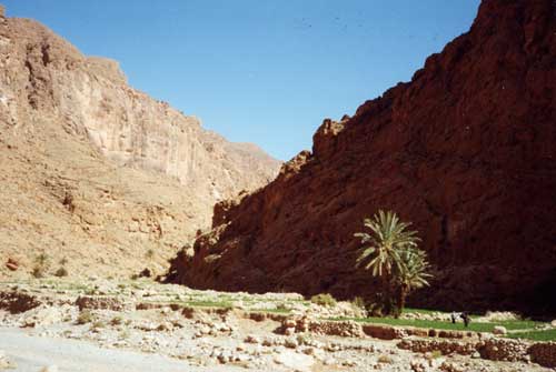 carnets de voyage maroc - tineghir - entre des gorges du todgha