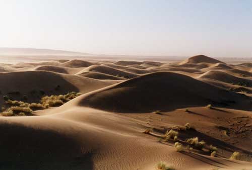 carnets de voyage maroc - mhamid - les dunes