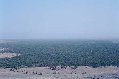 carnets de voyage maroc - rissani - vue sur la palmeraie du jorf et le tafilalet