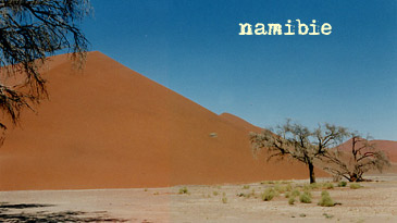 carnets de voyage  afrique - circuit en namibie