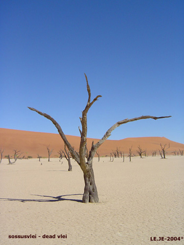 Namibie, les dunes de sossusvlei et traverse du damaraland
