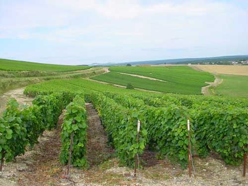 l'aube et ses collines de vignes