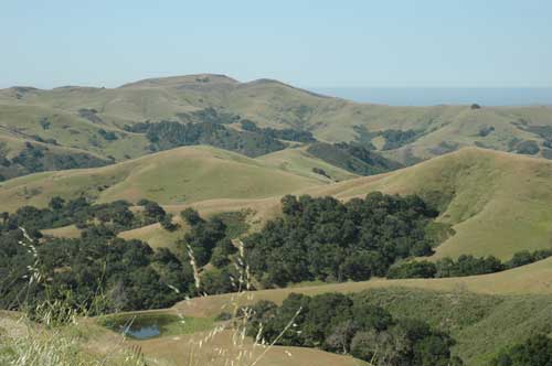 carnets de voyage usa - circuit californie et nevada - la route 46