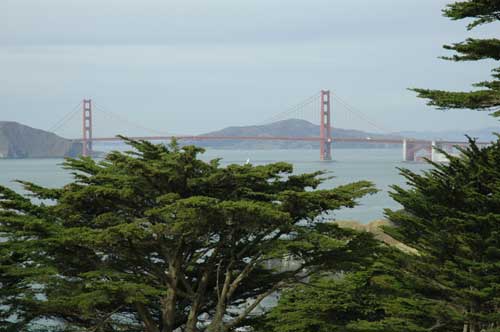 carnets de voyage usa - san francisco - le golden gate bridge