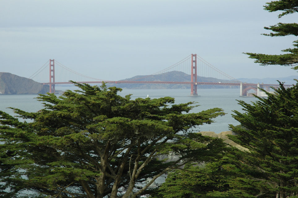 carnets de voyage usa - californie - san francisco - golden gate bridge - lincoln park