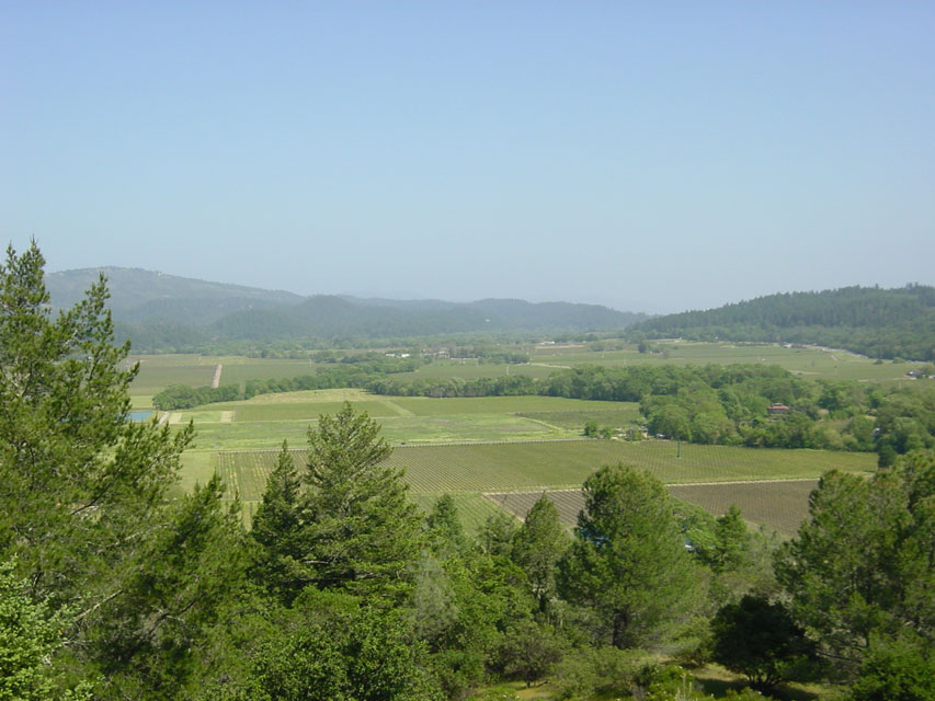 napa valley - vignes de sterling vineyards