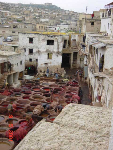 Carnets et photos de voyage Maroc - grand boucle - fes - les teinturiers