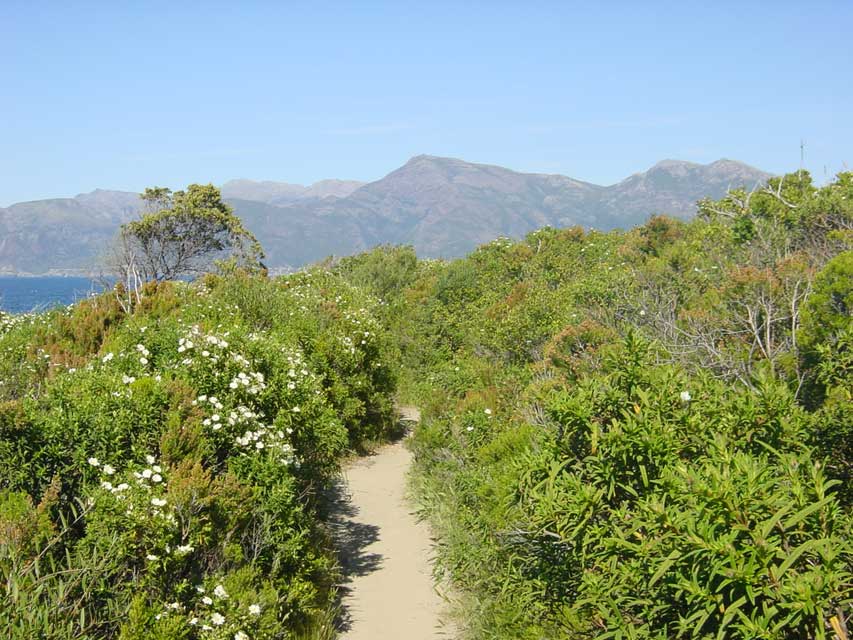 Carnets et photos de voyage Corse - Saint Florent : lac de Padula