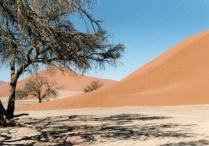 Carnets et photos de voyage en Namibie - dunes 45 à Sossusvlei