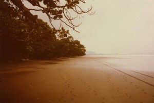 Carnets et photos de voyage Cameroun - plages au pieds du mont Cameroun...