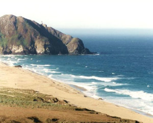 carnets et photos de voyage usa - Grand Bassin et Pacific Coast : Big Sur