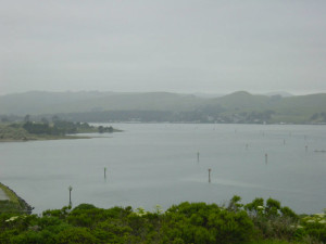 carnets et photos de voyage usa - traversée du grand Bassin et de la Pacific Coast : Bodega Bay