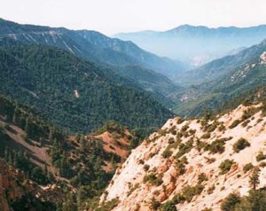 Carnets et photos de voyage usa - Grand Bassin et Pacific Coast - Randonnée dans les San Gabriel Mountains