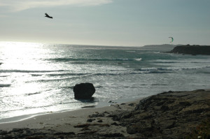 Carnets et photos de voyage usa - Californie et Nevada - Les plages de San Simeon