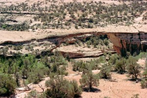 carnets et photos de voyage - ouest usa - natural bridge