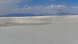 Carnets et photos de voyage usa - circuit 15 jours grand ouest : nouveau-mexique white sand dunes