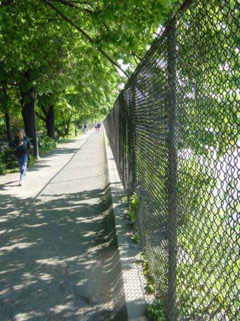 central park - footing autour du lac