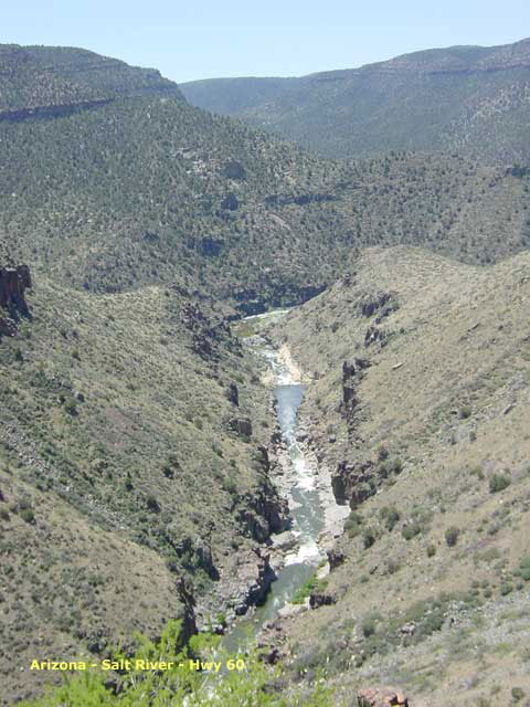 carnets de voyage usa - salt river canyon