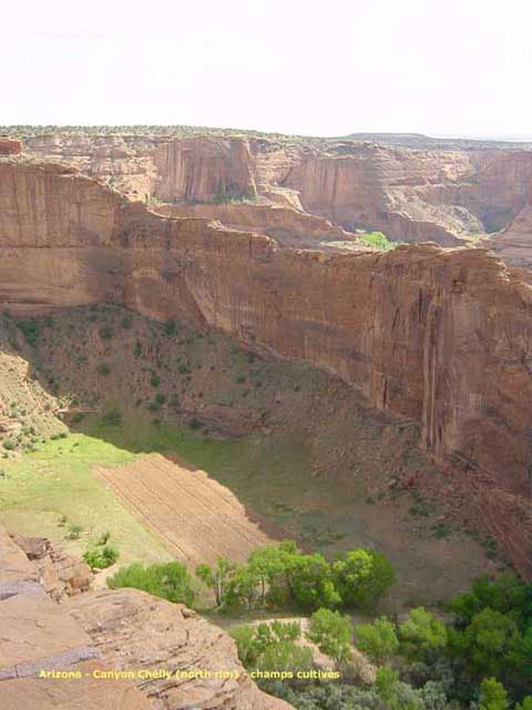 carnets de voyage usa - canyon de chelly - champs cultivs