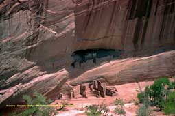 Arizona - Canyon Chelly - White house