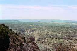 carnets de voyage usa - circuit ouest usa - tape torrey - zion (capitol reef)