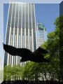 Times square - Bryant park - promenade de l'aigle