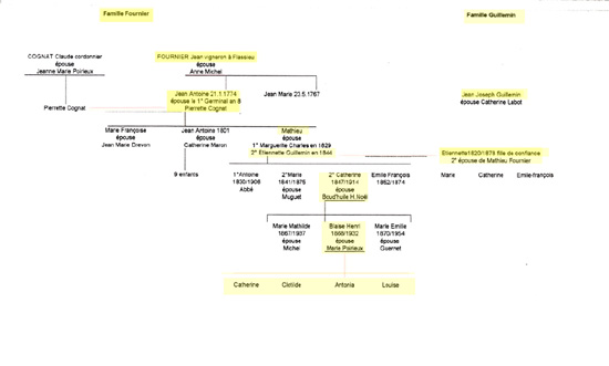 arbre gnalogique famille fournier et guillemin