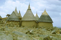 contraste d'un village du nord cameroun et de la fort quatoriale
