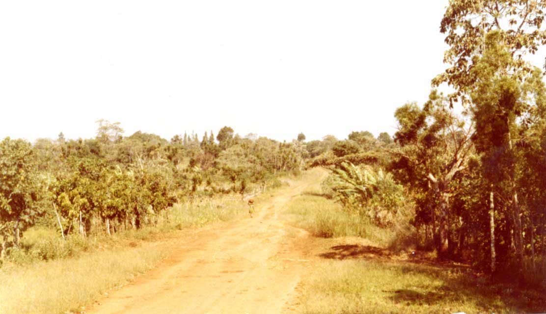 la piste dans la plaine mbo