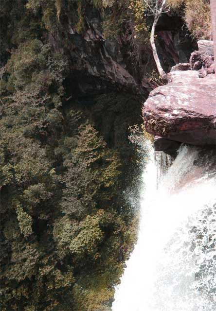 les chutes de mami wata