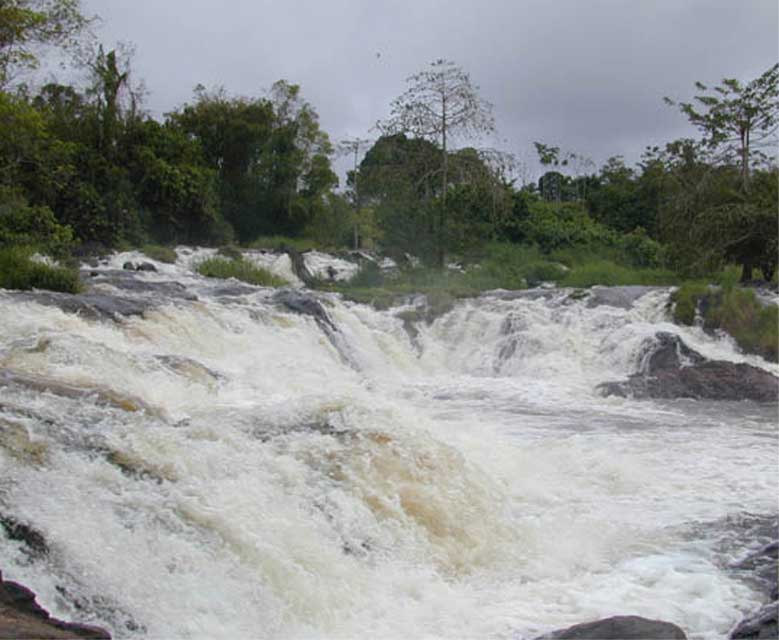 cameroun les chutes de la lobe vers kribi