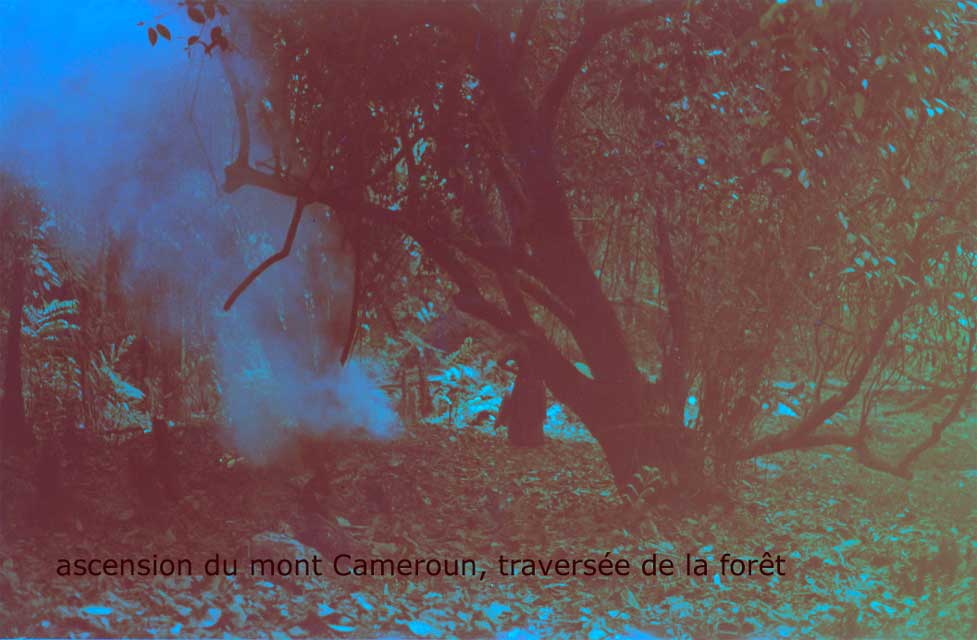 cameroun-mont-cameroun-4.jpg