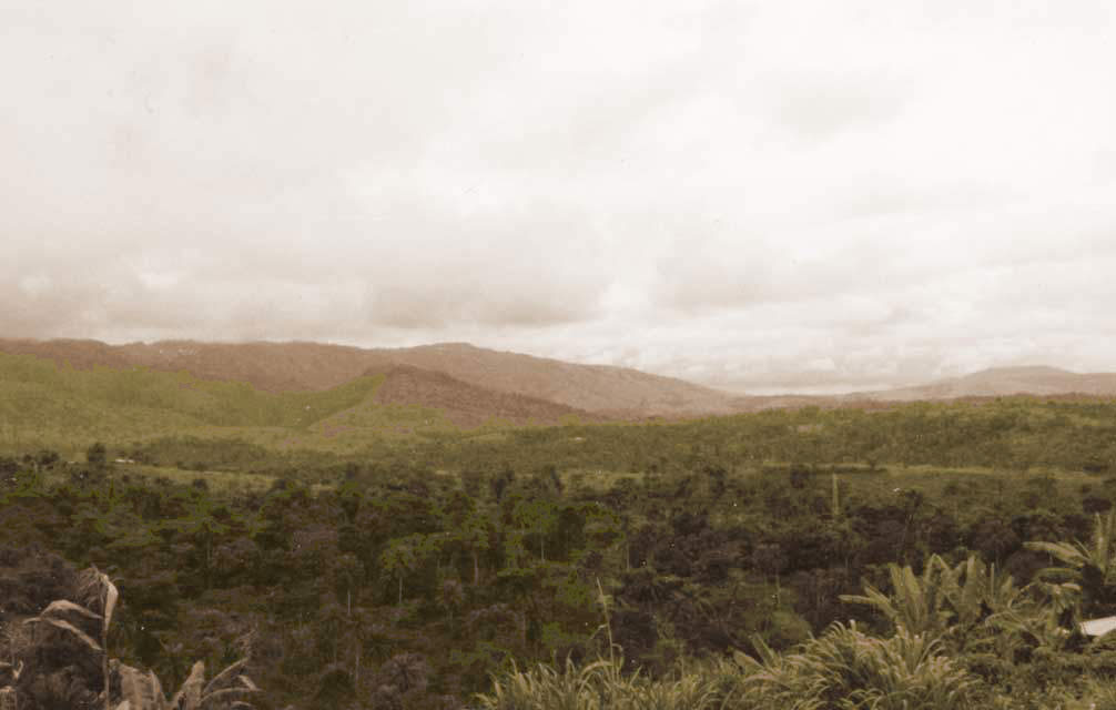 cameroun-ring-road-11s.jpg