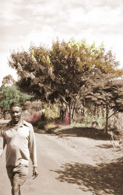 cameroun-ringroad-bamenda-1s.jpg